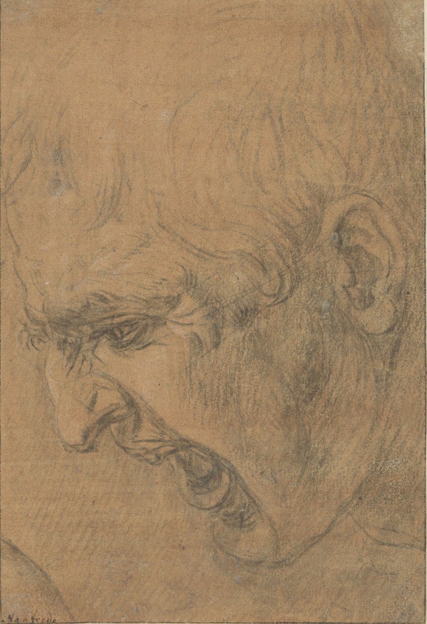 Hovedet af en skrigende mand af Leonardo da (follower of) Vinci