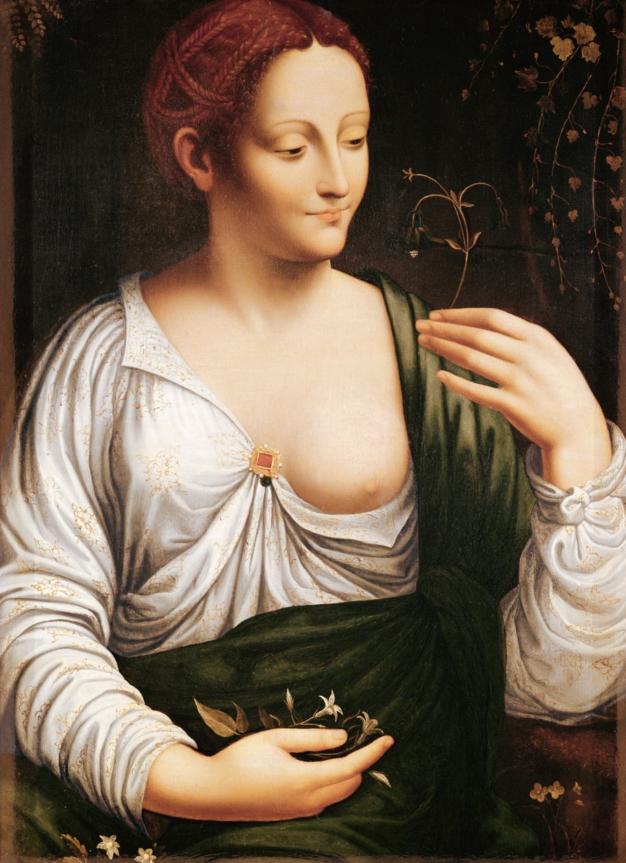  af Leonardo da (school of) Vinci