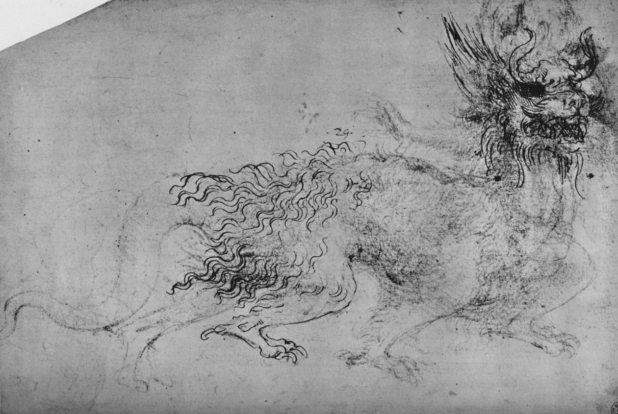 En drage, c1480 1945 af Leonardo da Vinci