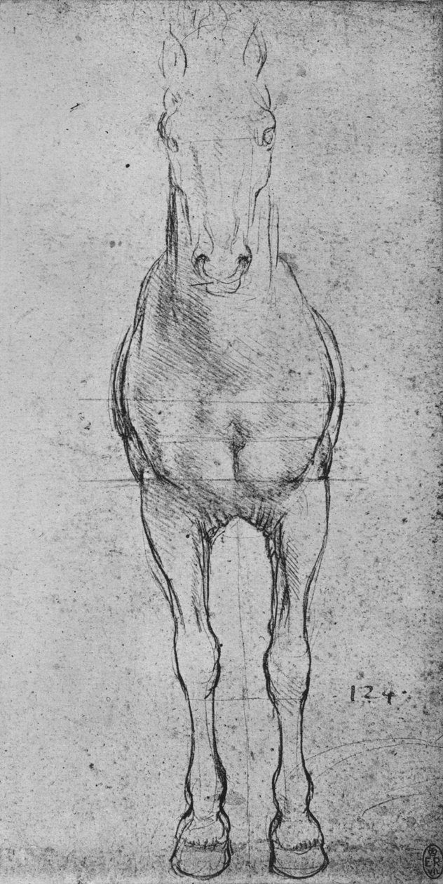 En hest set forfra, c1480 1945 af Leonardo da Vinci