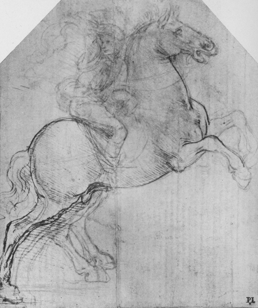 En rytter på en opvoksende hest, c1480 1945 af Leonardo da Vinci