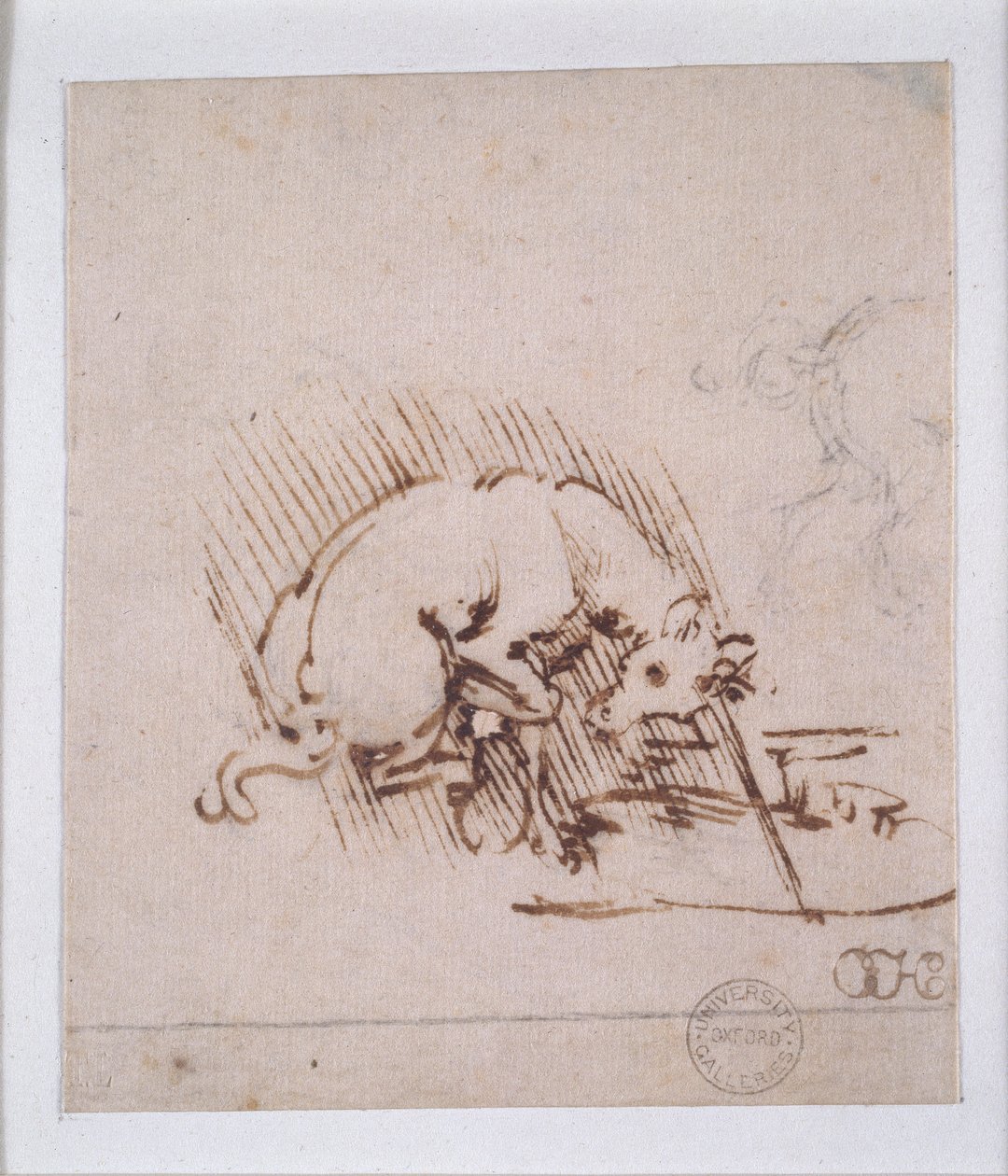 En enhjørning, c1472-1519 af Leonardo da Vinci