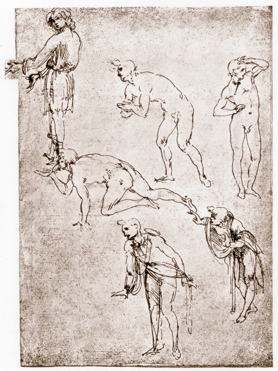 Tilbedelse af hyrderne, c1478-1480. af Leonardo da Vinci