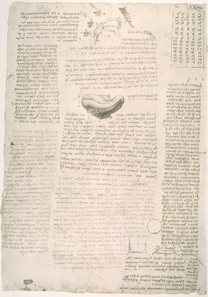 Anatomiestudien af Leonardo da Vinci