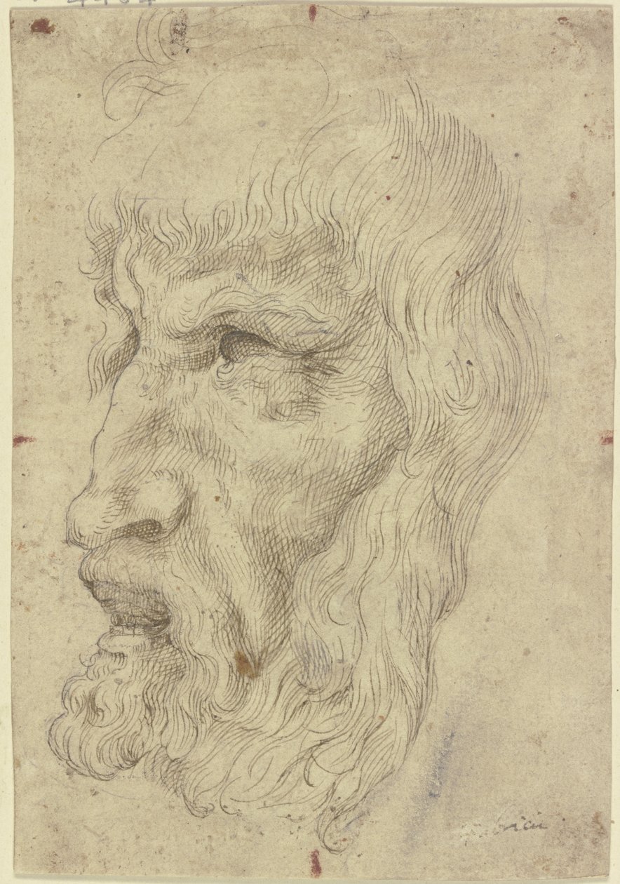 Antikke masker til venstre af Leonardo da Vinci