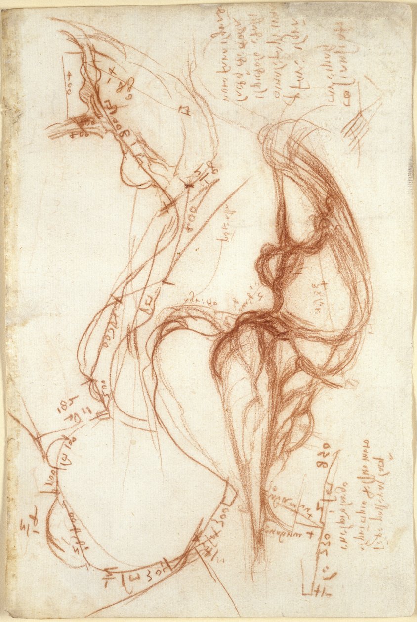 Arundel 263, f.149, Planimetriske skitser af floden Arno; notater om vandforvaltning af Leonardo da Vinci