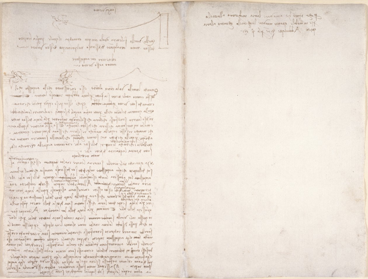 Arundel 263, f.166v, f.163 Noter og diagrammer om fugles flugt, fra 