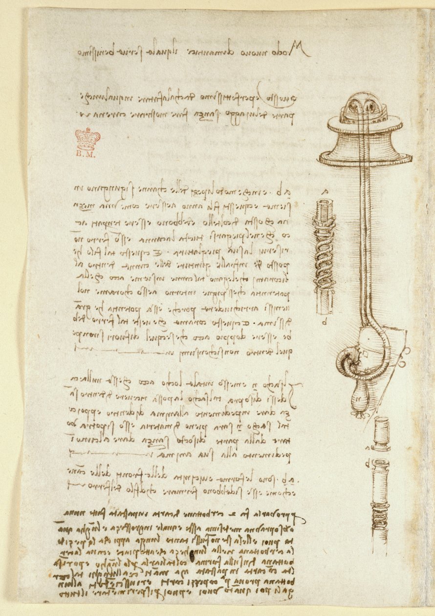 Arundel 263, f.24v Noter og skitser, der illustrerer Leonardos undersøgelse af åndedrætsapparater til en dykker (1508), fra 
