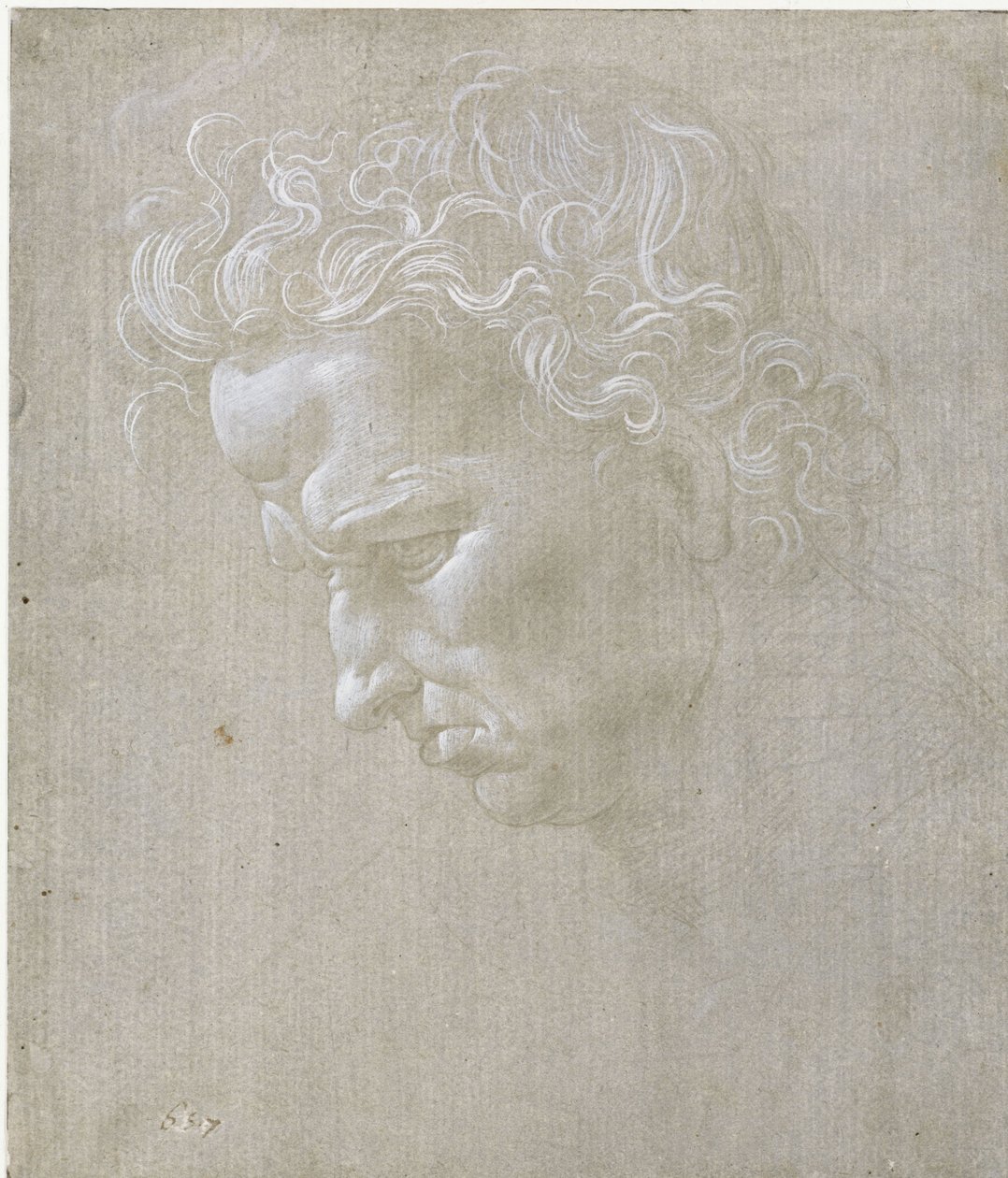 En mands ansigtsudtryk set i profil af Leonardo da Vinci