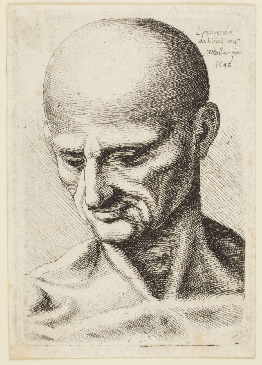 Den skaldede mand af Leonardo da Vinci