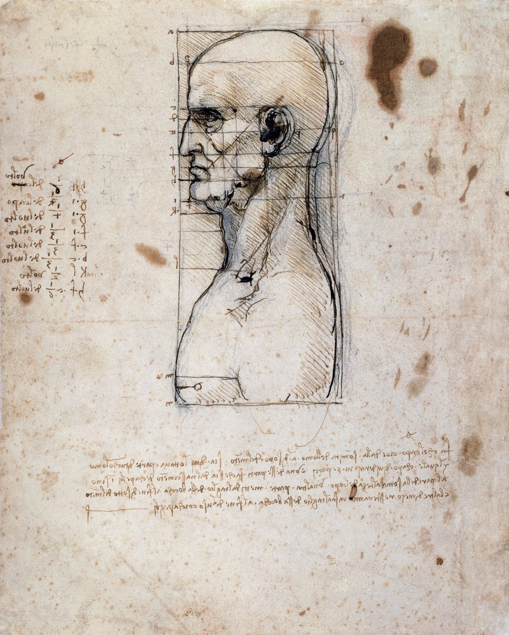 Buste af en mand i profil med mål og noter (sepia blæk på hørpapir) af Leonardo da Vinci