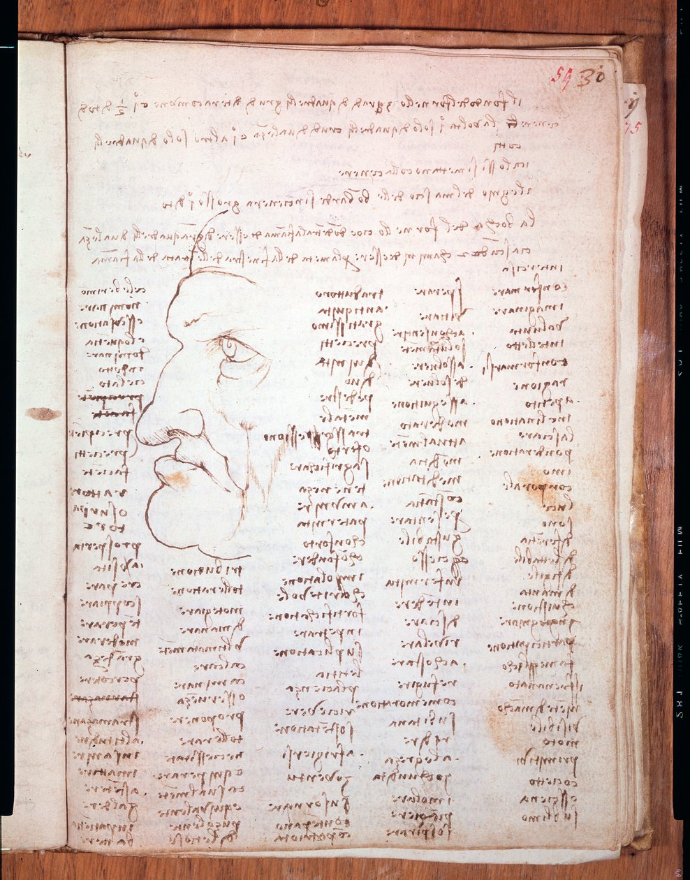 Codex Trivulziano af Leonardo da Vinci (Leonardo da Vinci) (1452 - 1519) - Trivulziana bibliotek, Milano af Leonardo da Vinci