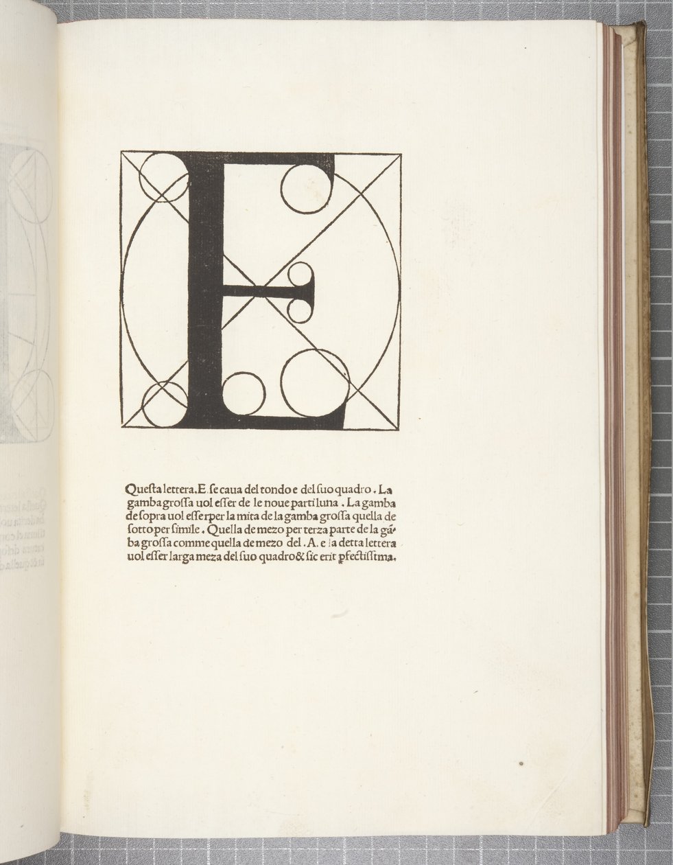 Divine Proportion, af Luca Pacioli af Leonardo da Vinci