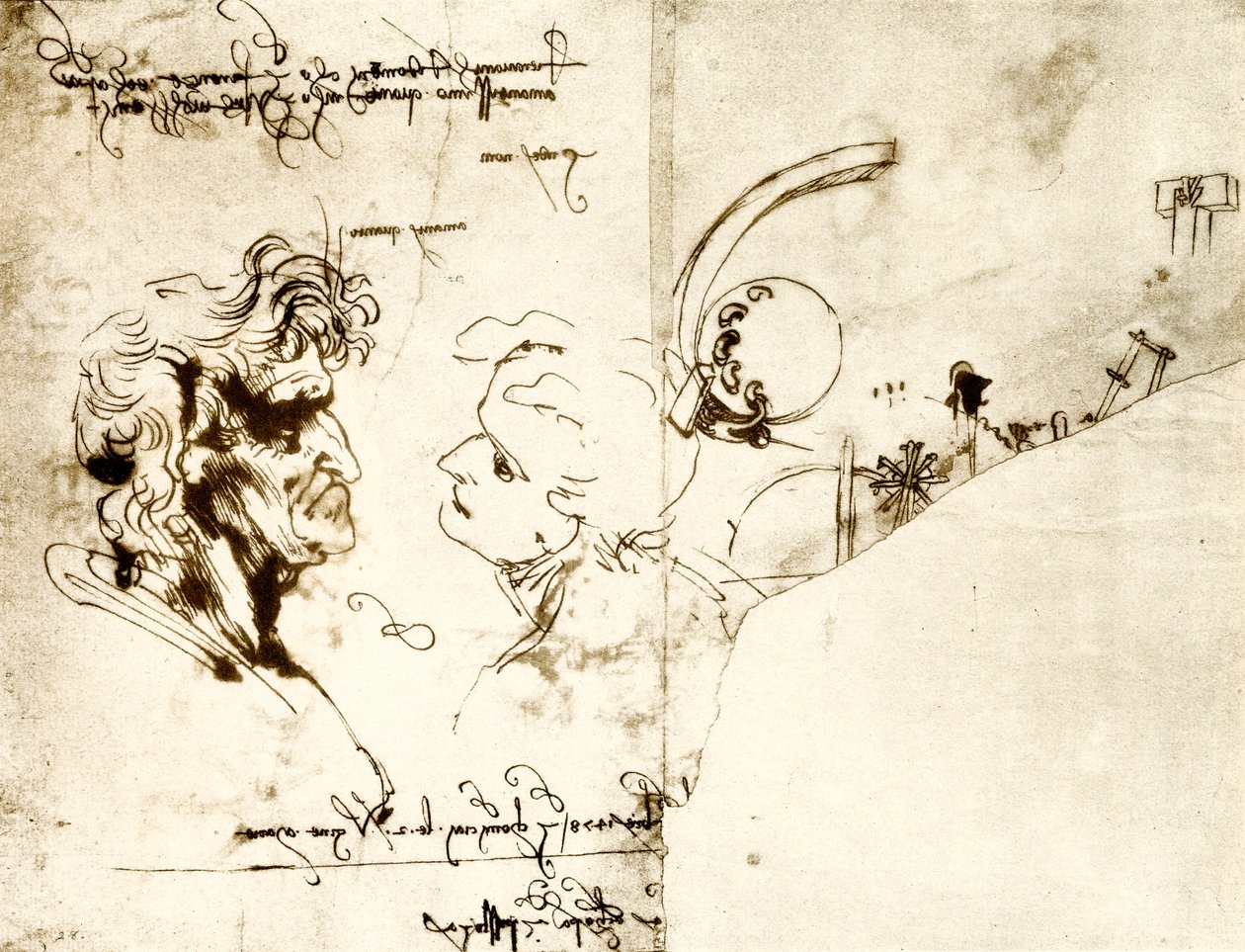 Udkast til to mandlige hoveder af Leonardo da Vinci