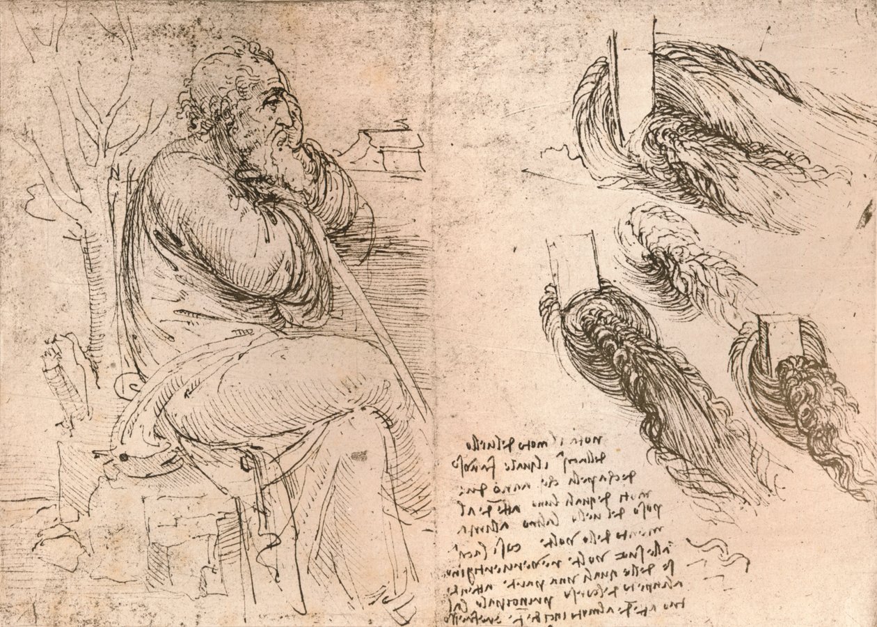 Tegning, der illustrerer repræsentationen af hår, der falder ned i krøller, c1472-c1519 1883 af Leonardo da Vinci
