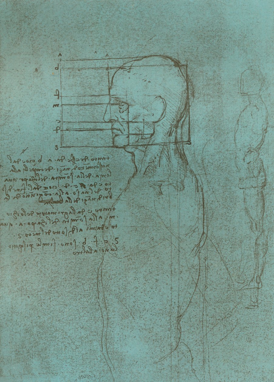 Tegning, der illustrerer teorien om proportionerne af den menneskelige figur, c1472-c1519 1883. af Leonardo da Vinci