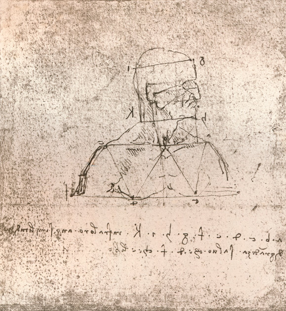 Tegning, der illustrerer teorien om proportionerne af den menneskelige figur, c1472-c1519 1883 af Leonardo da Vinci