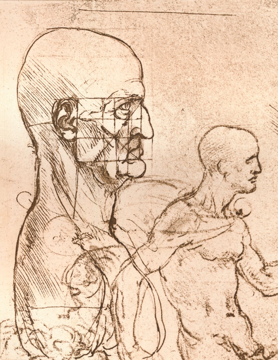 Tegning, der illustrerer teorien om proportionerne af den menneskelige figur, c1472-c1519 1883 af Leonardo da Vinci