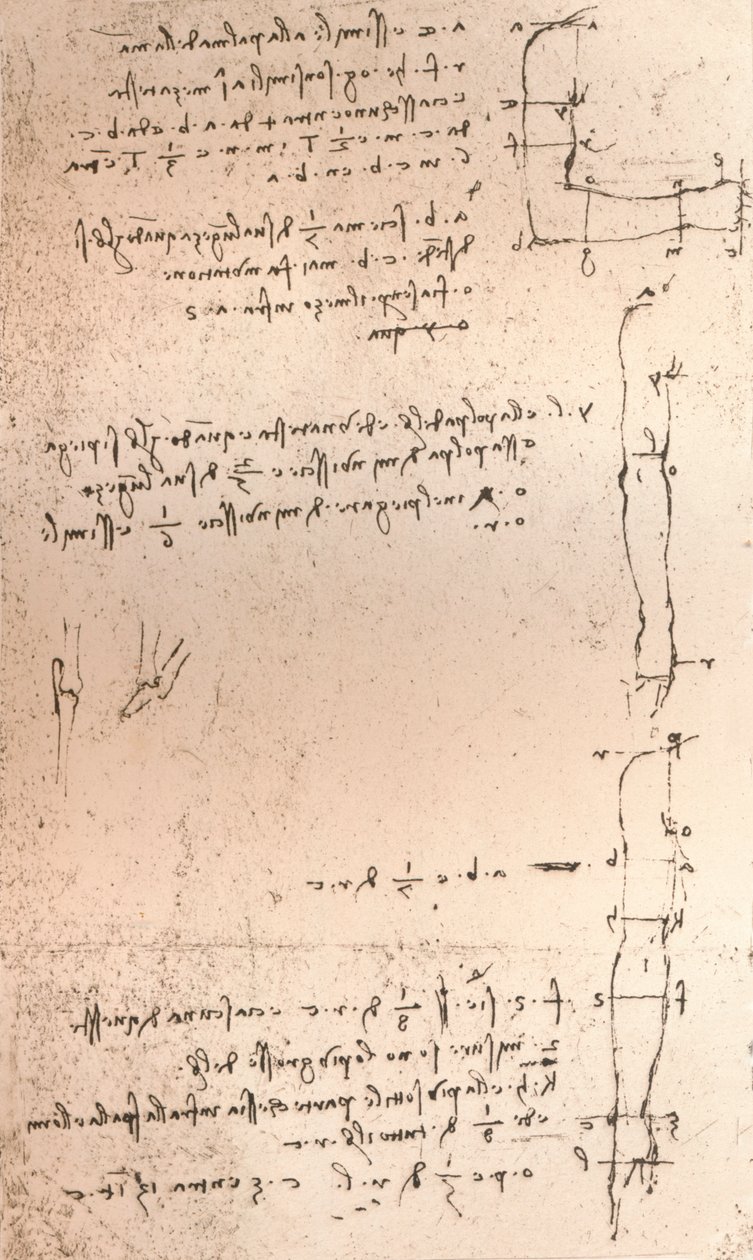 Tegning, der illustrerer teorien om proportionerne af den menneskelige figur, c1472-c1519 1883 af Leonardo da Vinci
