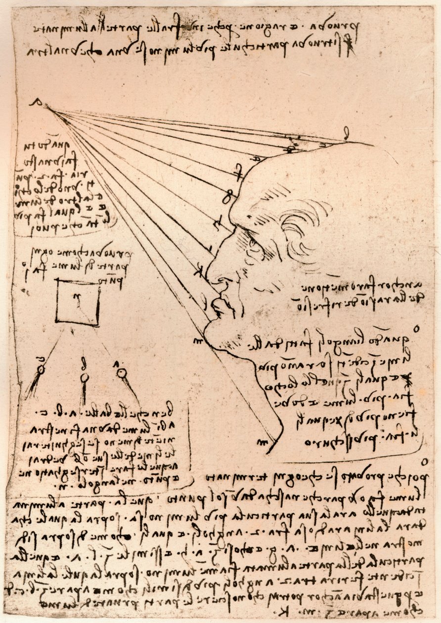 Tegning af et mandligt hoved, der illustrerer praksis med at male, c1472-c1519 1883 af Leonardo da Vinci