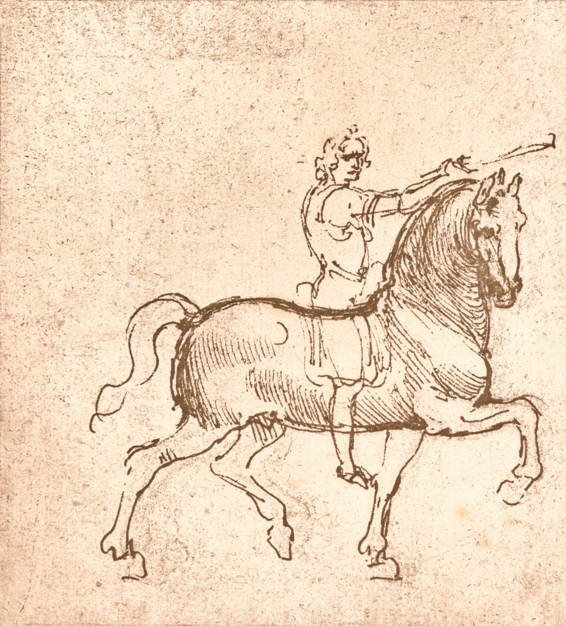 Tegning af en vandrehest, c1472-c1519 1883 af Leonardo da Vinci