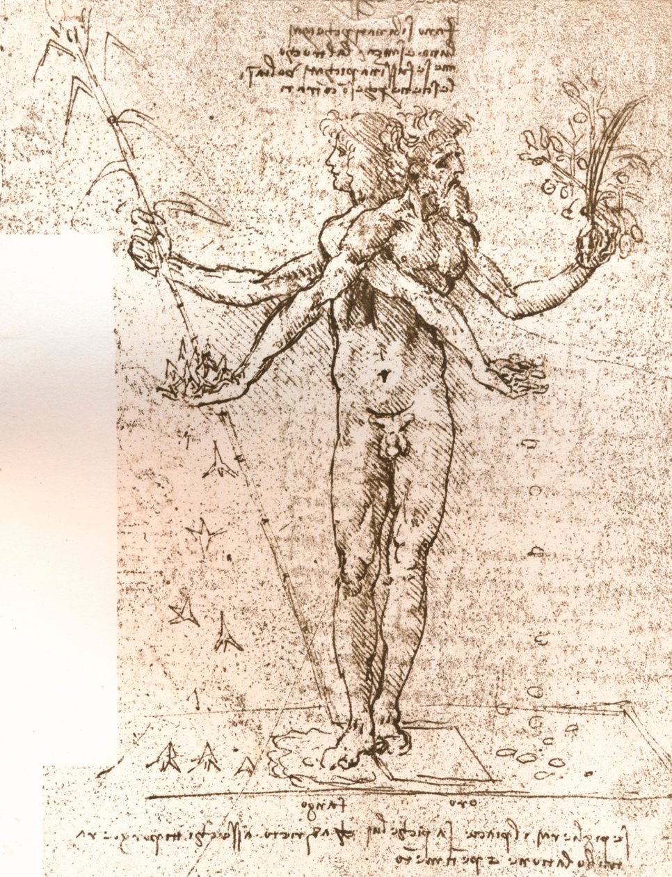 Tegning af en allegorisk komposition, c1472-c1519 1883 af Leonardo da Vinci