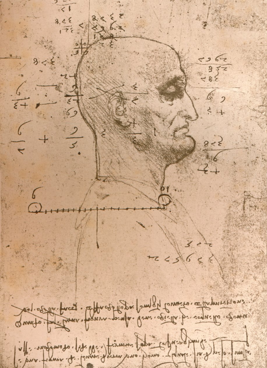 Tegning af hovedet på en kriminel, c1472-c1519 1883 af Leonardo da Vinci