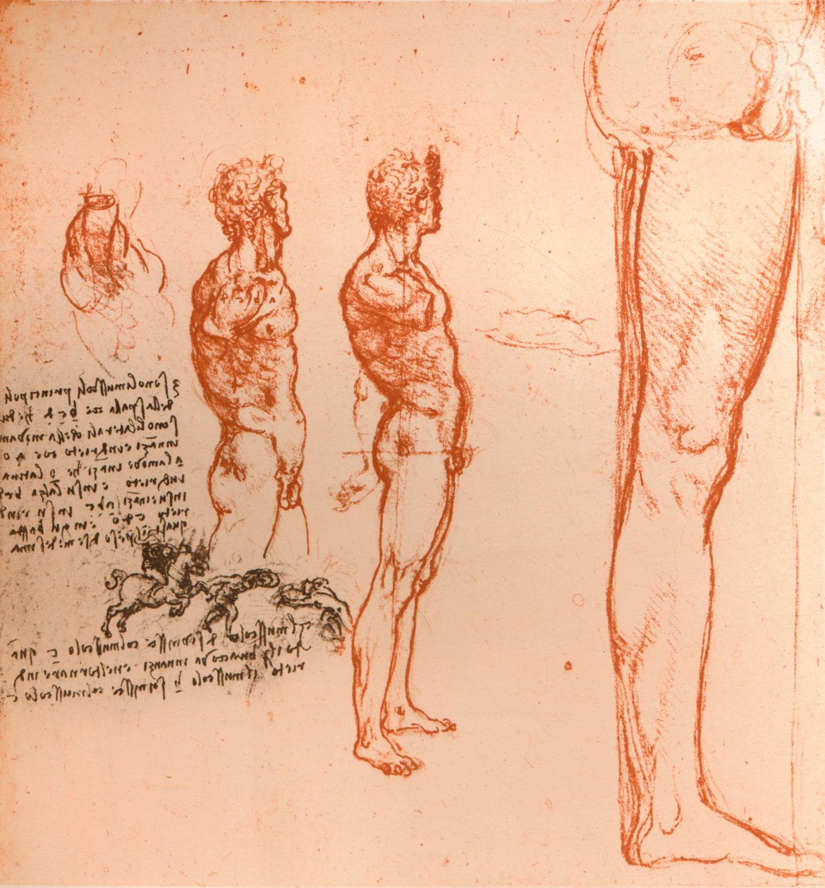 Tegninger, der viser bevægelserne af den menneskelige figur og krigere, der kæmper, c1472-c1519 1883 af Leonardo da Vinci