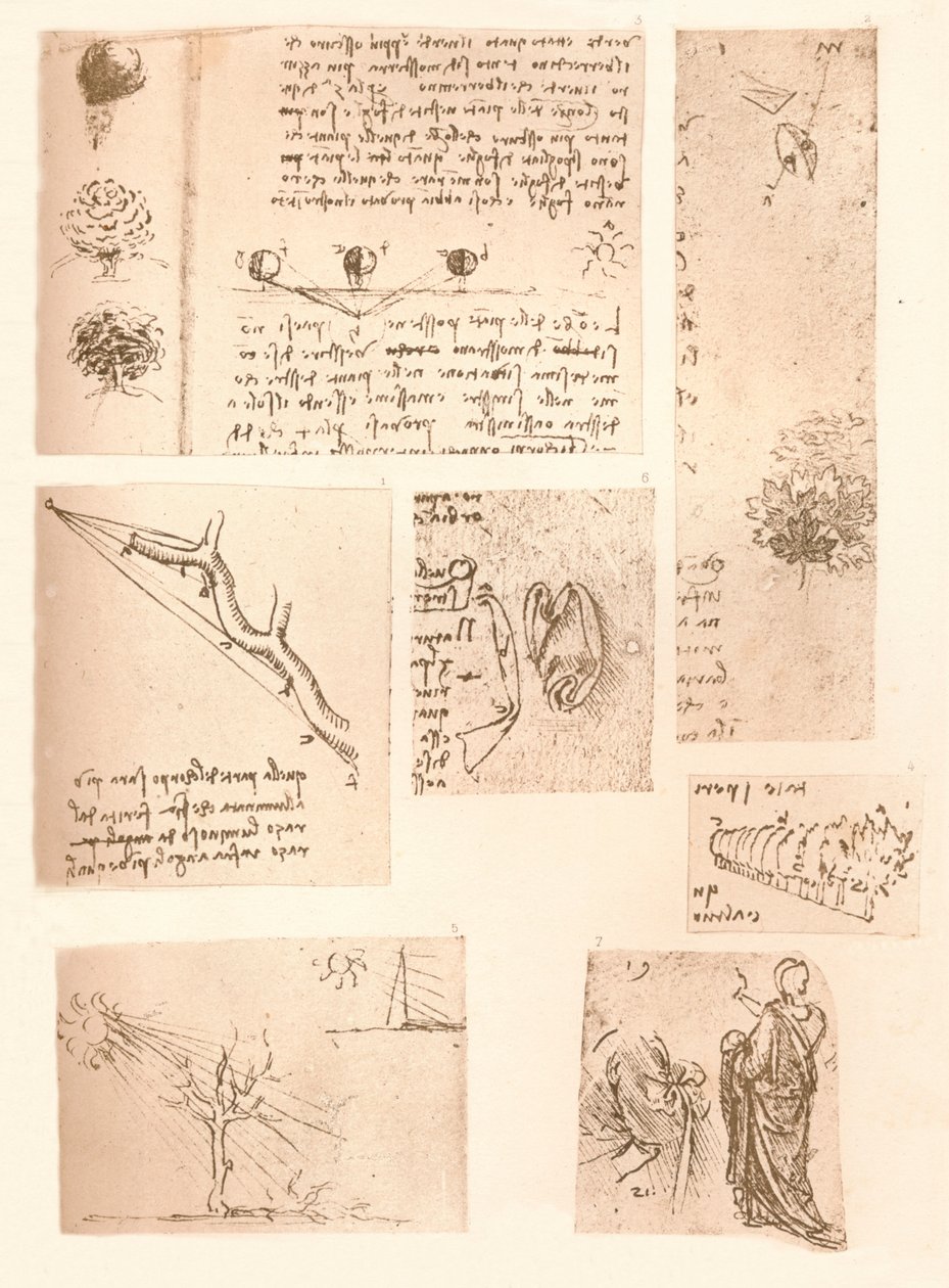 Fem tegninger, der illustrerer elementerne i landskabsmaleriet, c1472-c1519 1883 af Leonardo da Vinci
