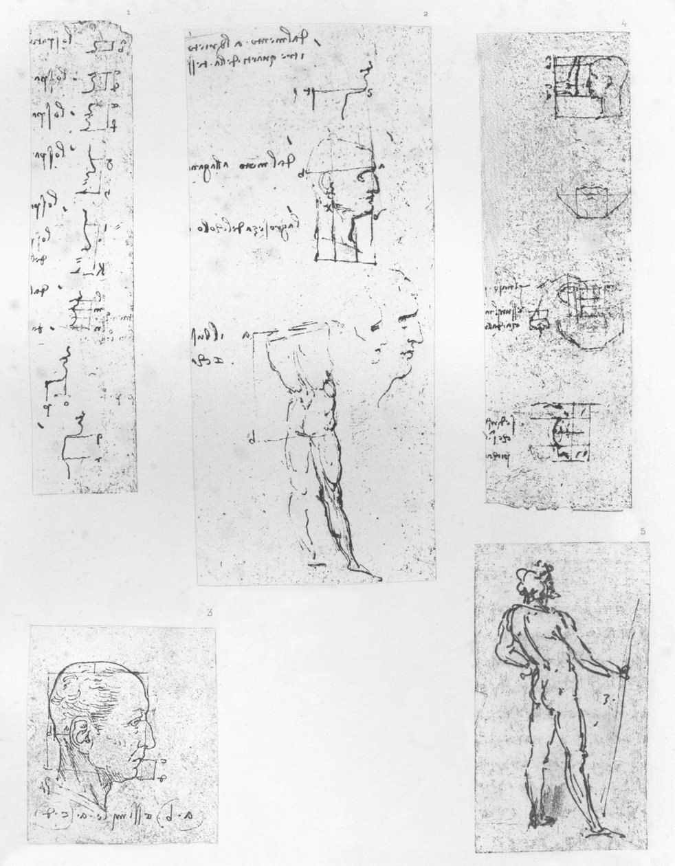 Fem tegninger, der illustrerer teorien om proportionerne af den menneskelige figur, c1472-c1519 1883 af Leonardo da Vinci
