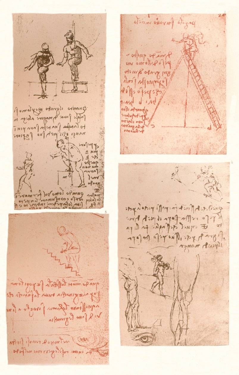 Fire tegninger, der illustrerer teorien om den menneskelige figurs bevægelser, c1472-c1519 1883 af Leonardo da Vinci