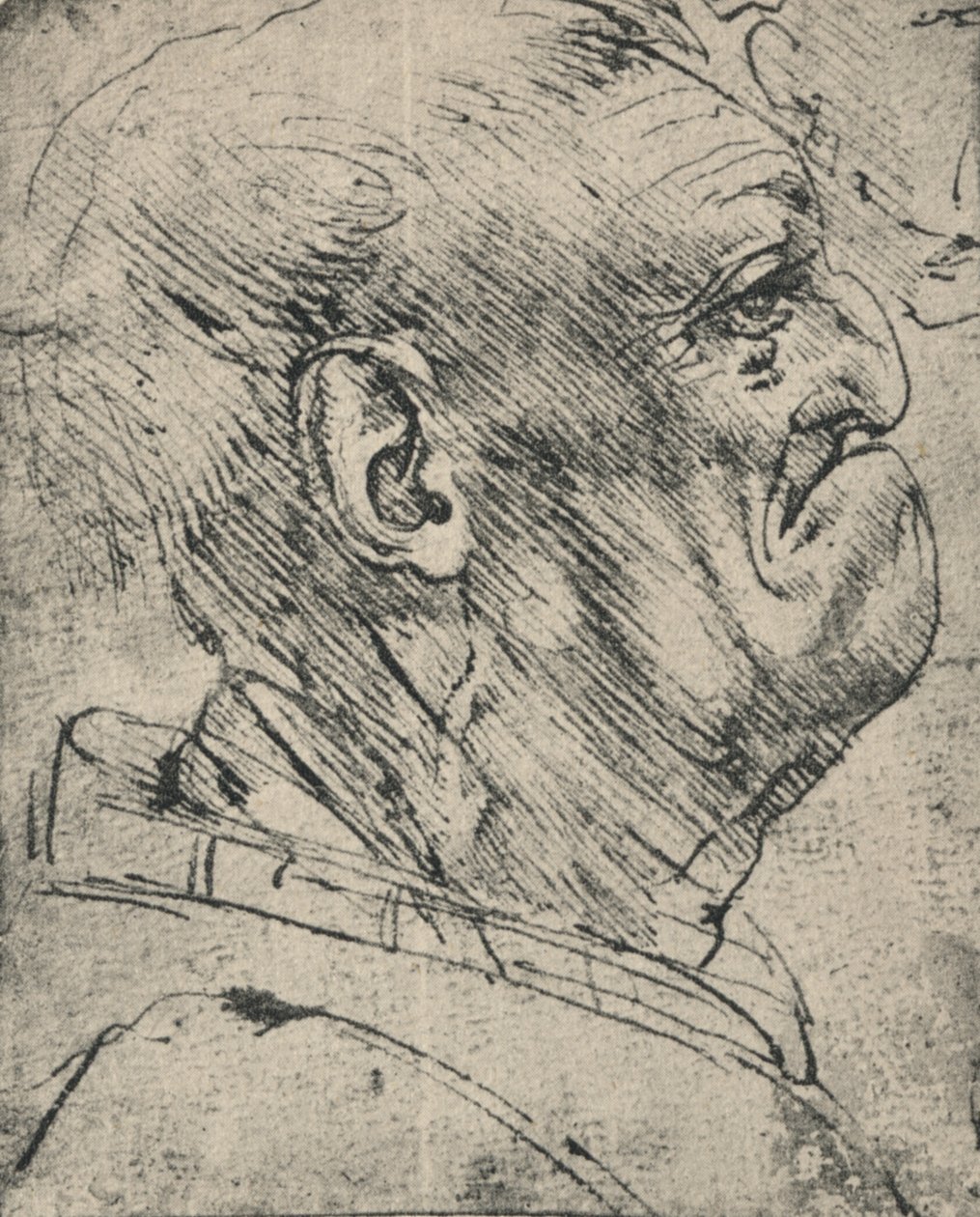 Grotesk profil af en mand til højre, c1480 1945 af Leonardo da Vinci