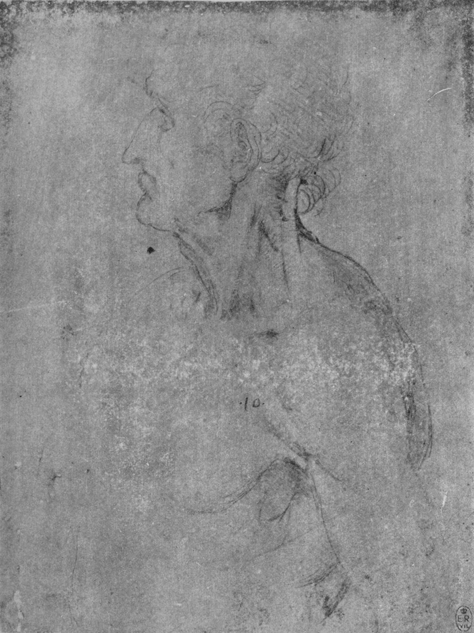 Hoved og buste af en gammel mand til venstre, c1480 1945 af Leonardo da Vinci