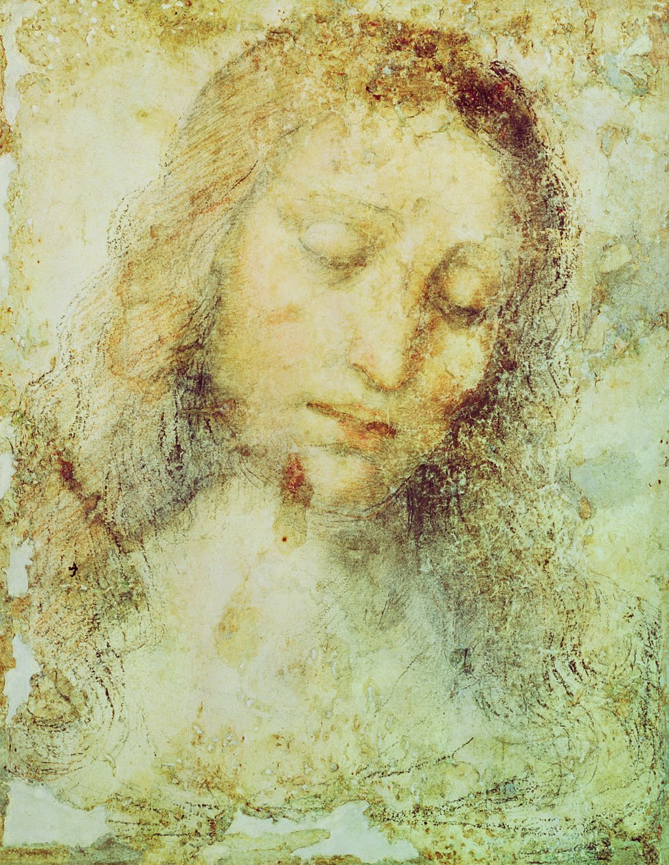 Kristi hoved (blyant og vask) af Leonardo da Vinci