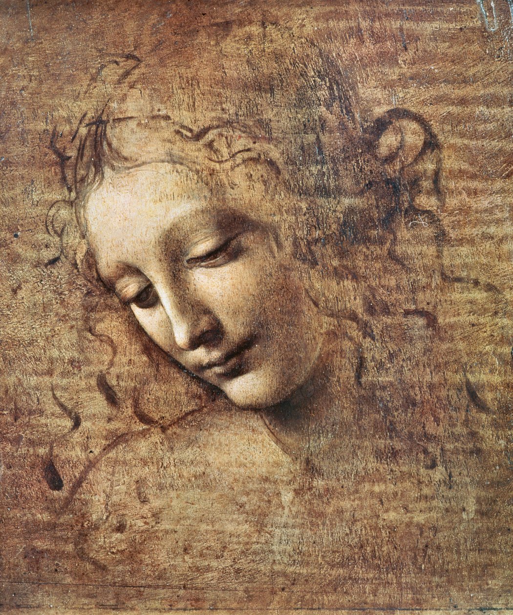 Hoved af en ung kvinde med pjusket hår eller Leda (gouache på træ) af Leonardo da Vinci