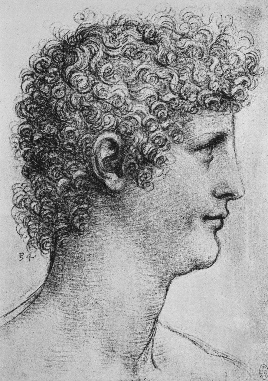 Leder af en ungdommelig profil til højre, c1480 1945 af Leonardo da Vinci