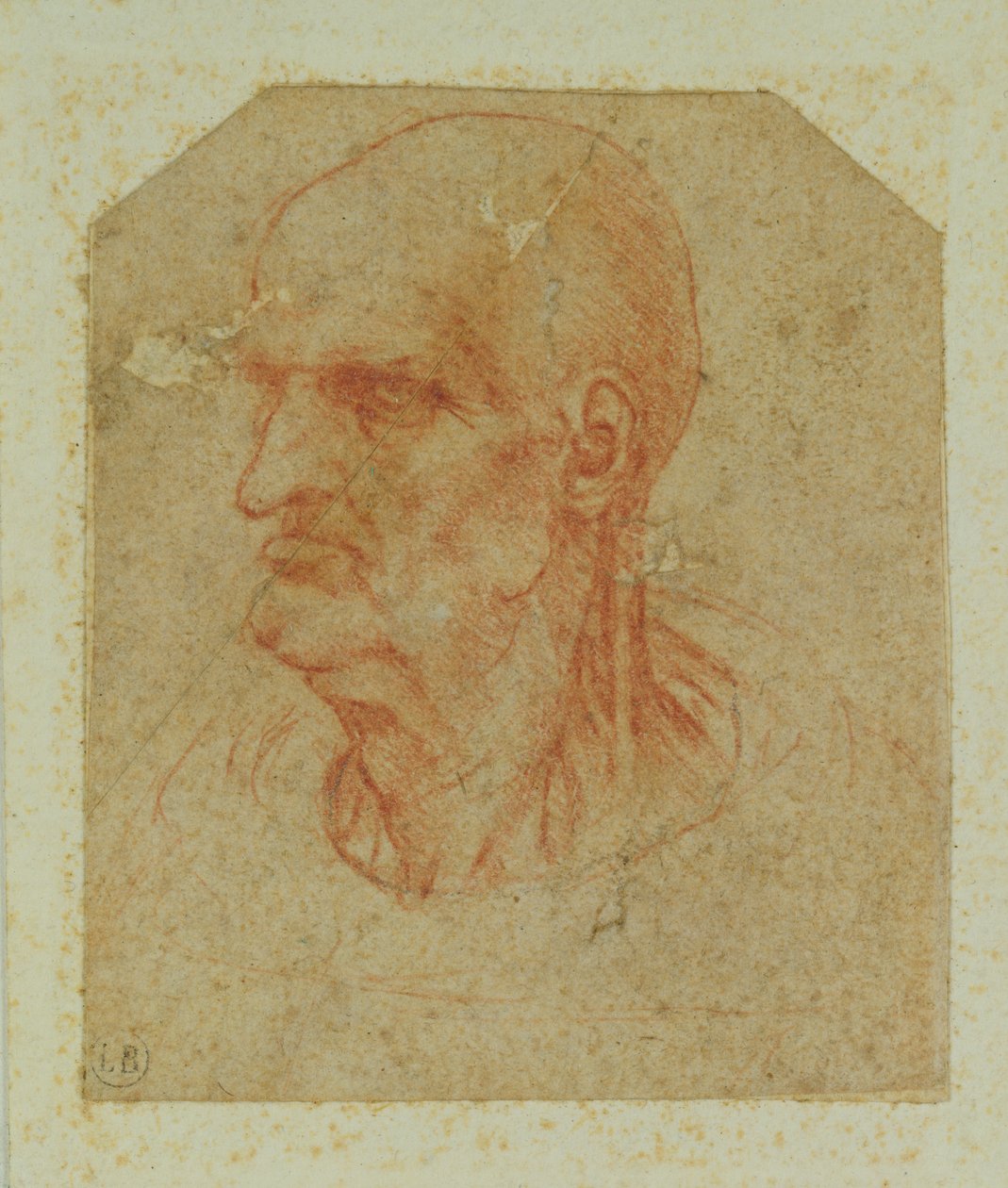 Hoved af en skægløs gammel mand, venstre profil (rødt kridt på papir) af Leonardo da Vinci
