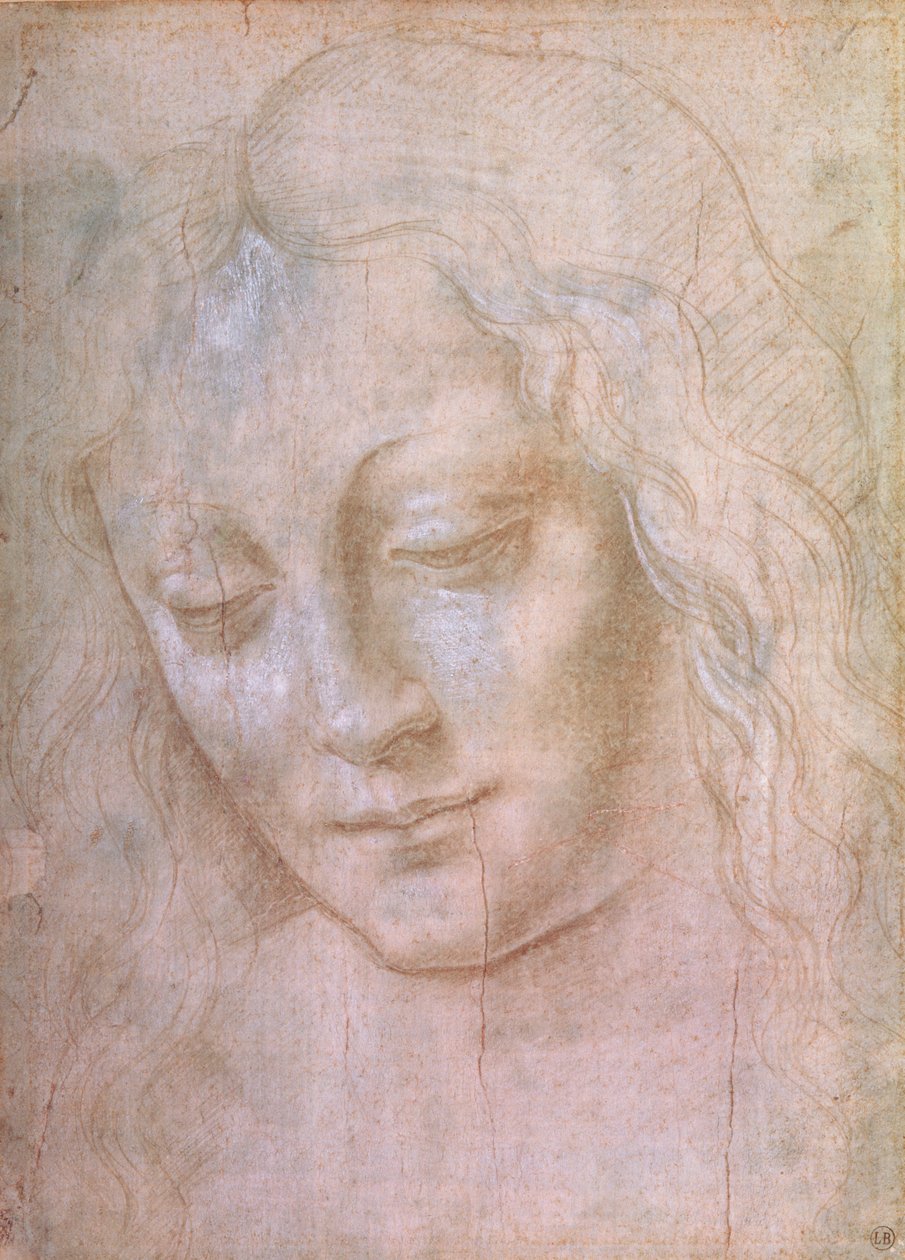Hovedet på en kvinde (metalspids forhøjet med gouache) af Leonardo da Vinci