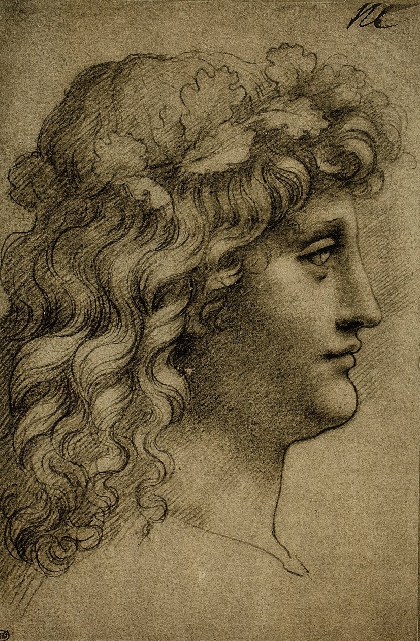 Hoved af en ung mand; tegning af Leonardo da Vinci. Louvre, Paris af Leonardo da Vinci