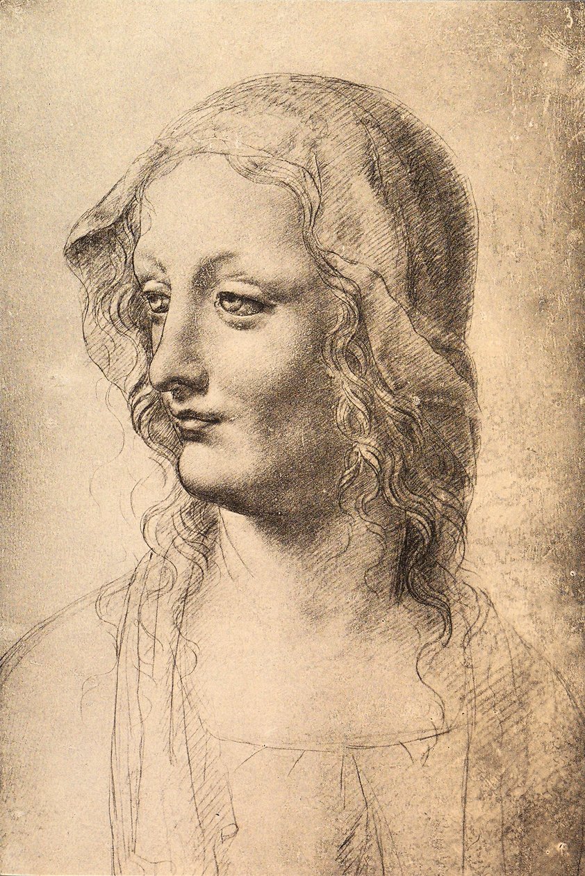 Leder af en ung kvinde, tegning af Leonardo da Vinci, Cabinet of Drawings and Prints, Uffizi, Firenze af Leonardo da Vinci