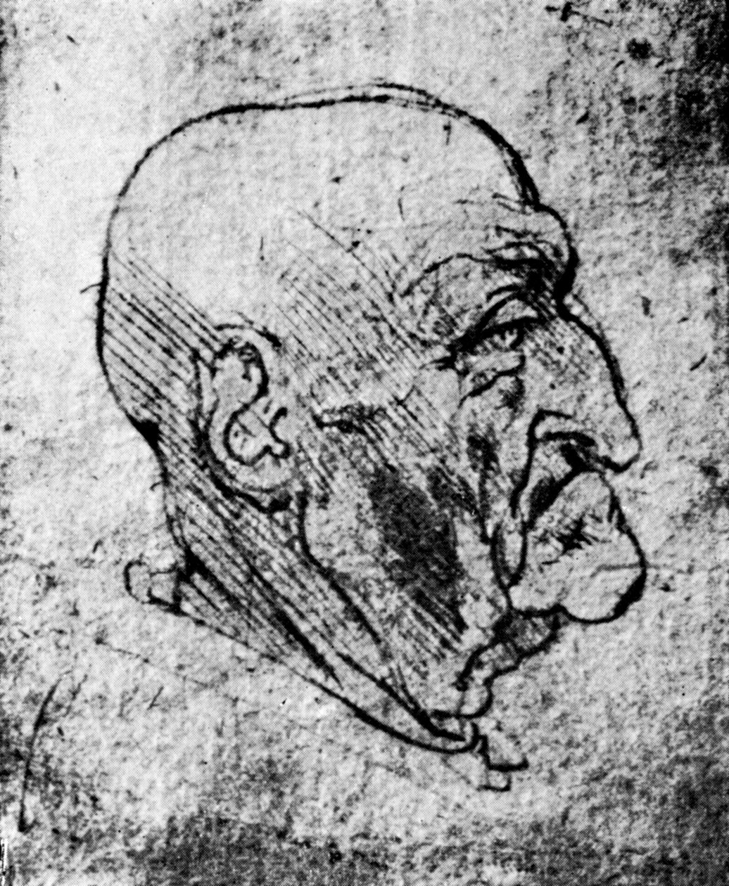 Leder af en gammel mand, 1913 af Leonardo da Vinci