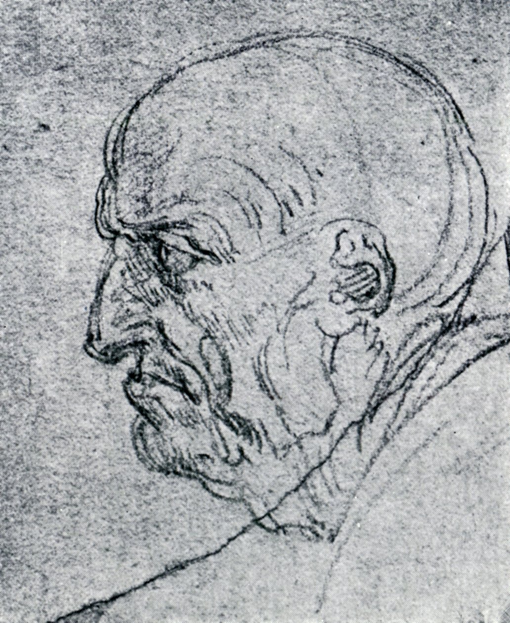 Leder af en gammel mand, 1913 af Leonardo da Vinci