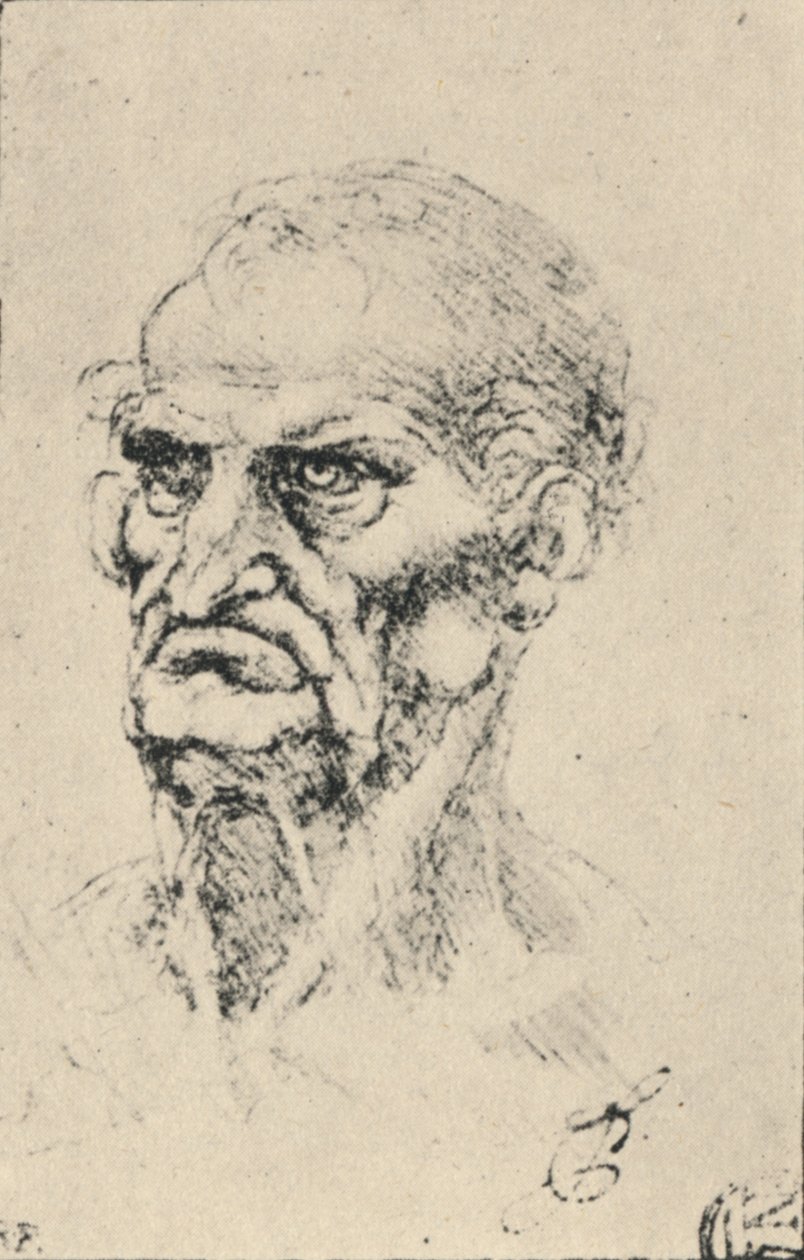 Leder af en gammel mand tre kvarter til venstre, c1480 1945 af Leonardo da Vinci
