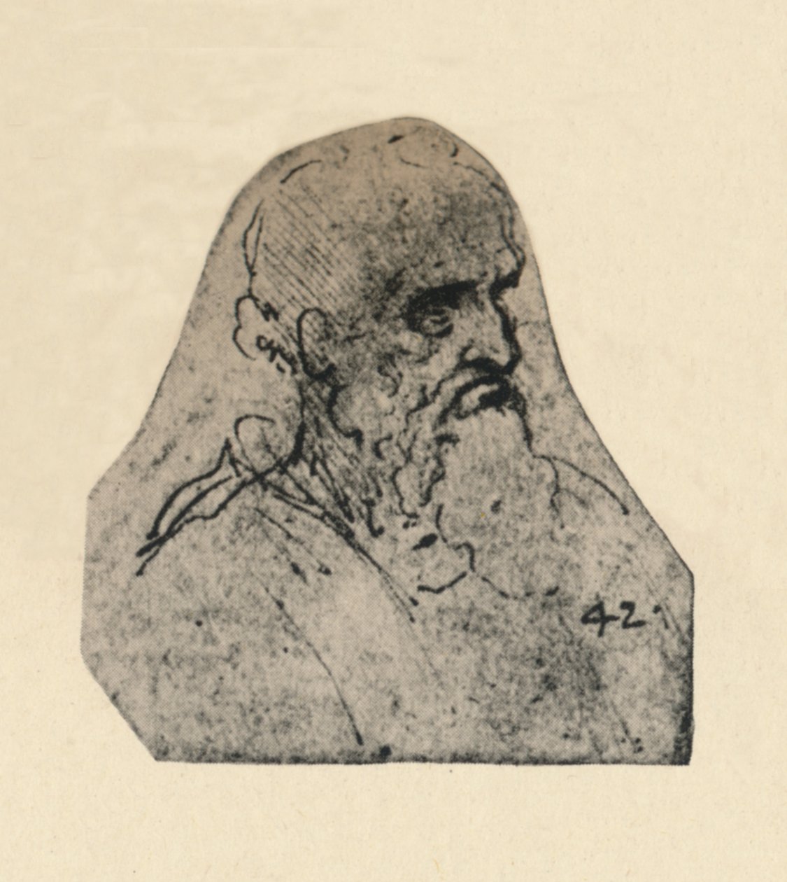 Hovedet af en gammel mand drejet til højre, c1480 1945 af Leonardo da Vinci