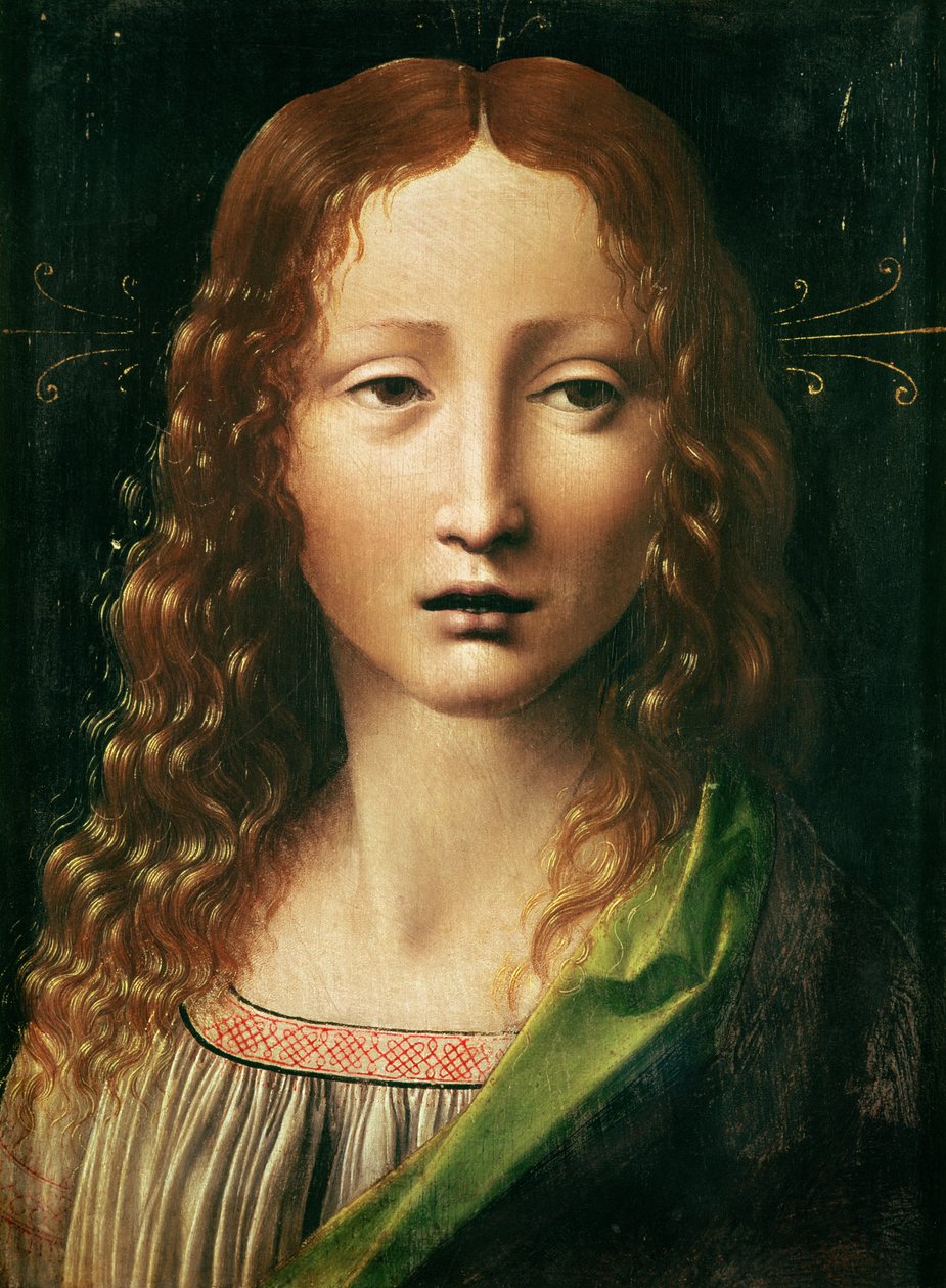 Frelserens hoved af Leonardo da Vinci