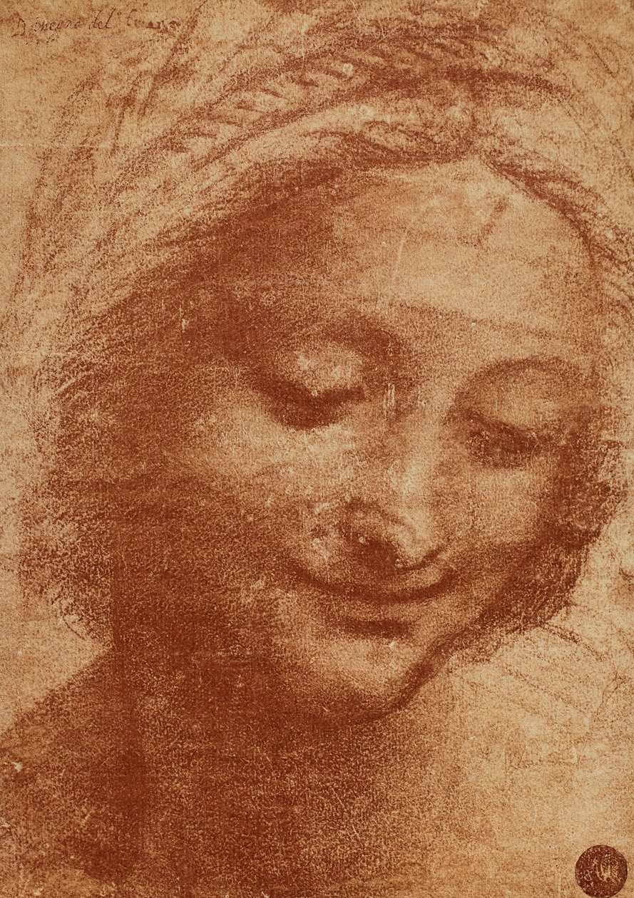 Leder af kvinden eller af SantaAnna, tegning af Leonardo da Vinci, studere for lederen af Sant Annas maleri Madonna med barn og Sant Anna nu i Louvre. Designet har til huse i Gallerie dellA af Leonardo da Vinci
