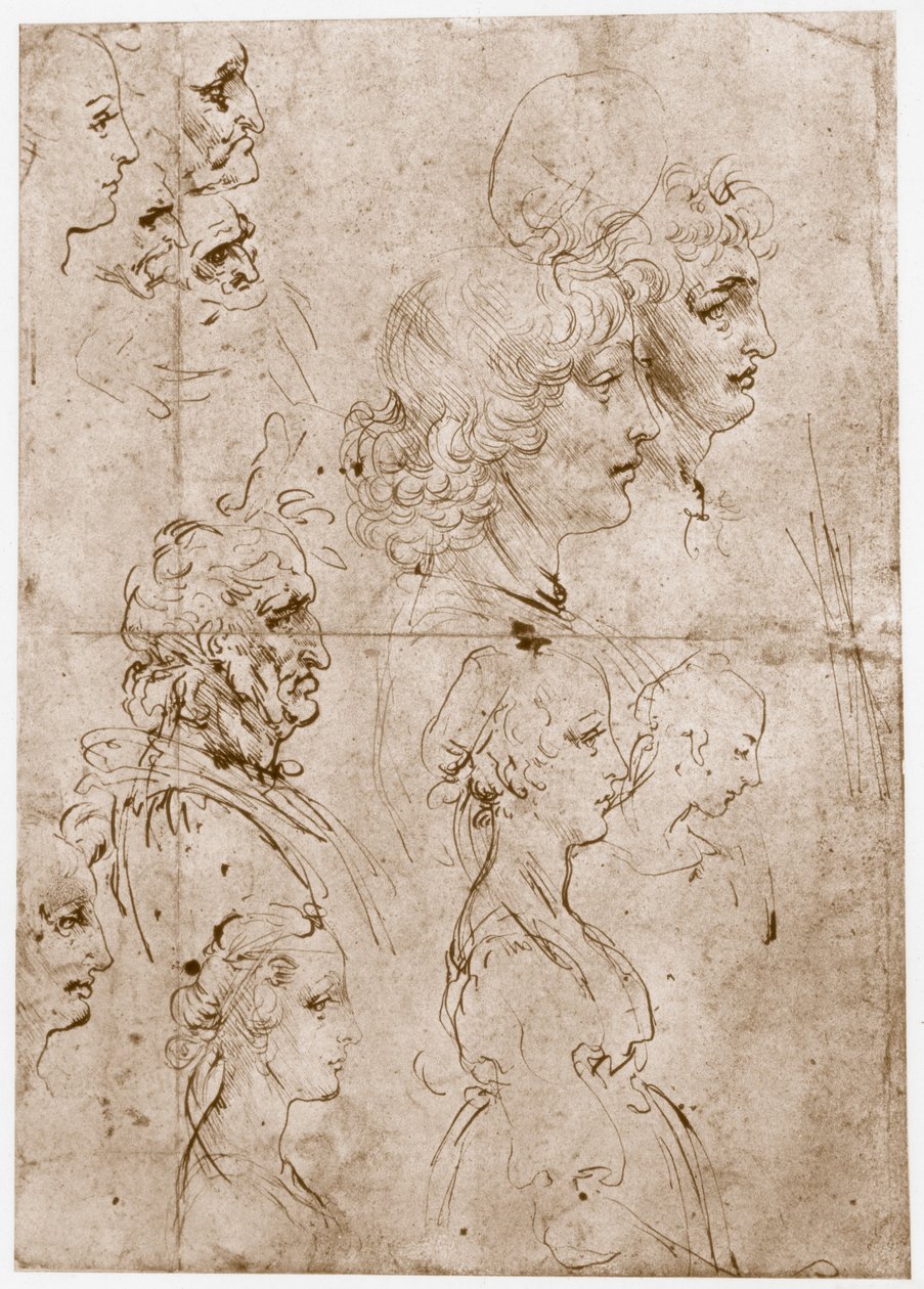 Overhoveder for piger, unge og gamle mænd, 1478-1480 af Leonardo da Vinci