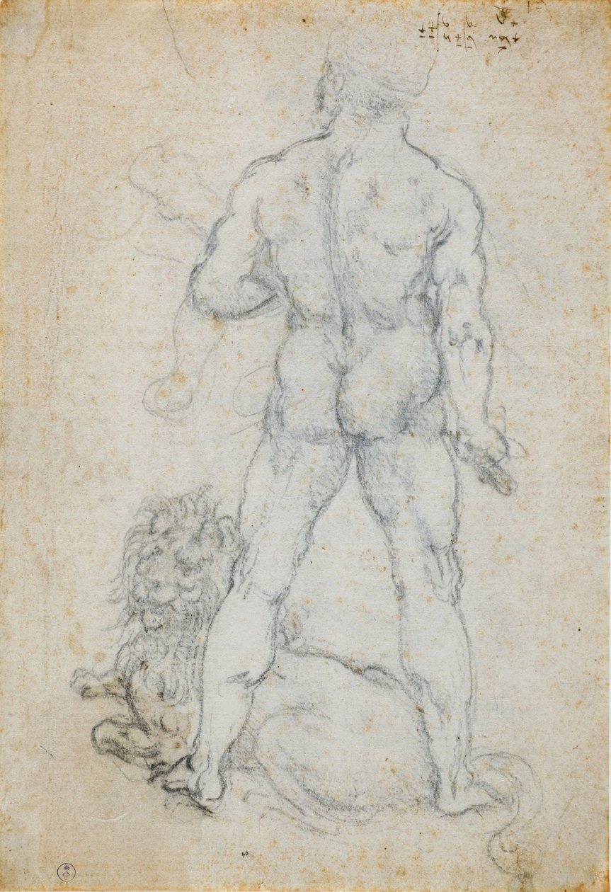Hercules og Nemean-løven, ca. 1506-08 (kul og metalspids på hvidt papir) af Leonardo da Vinci