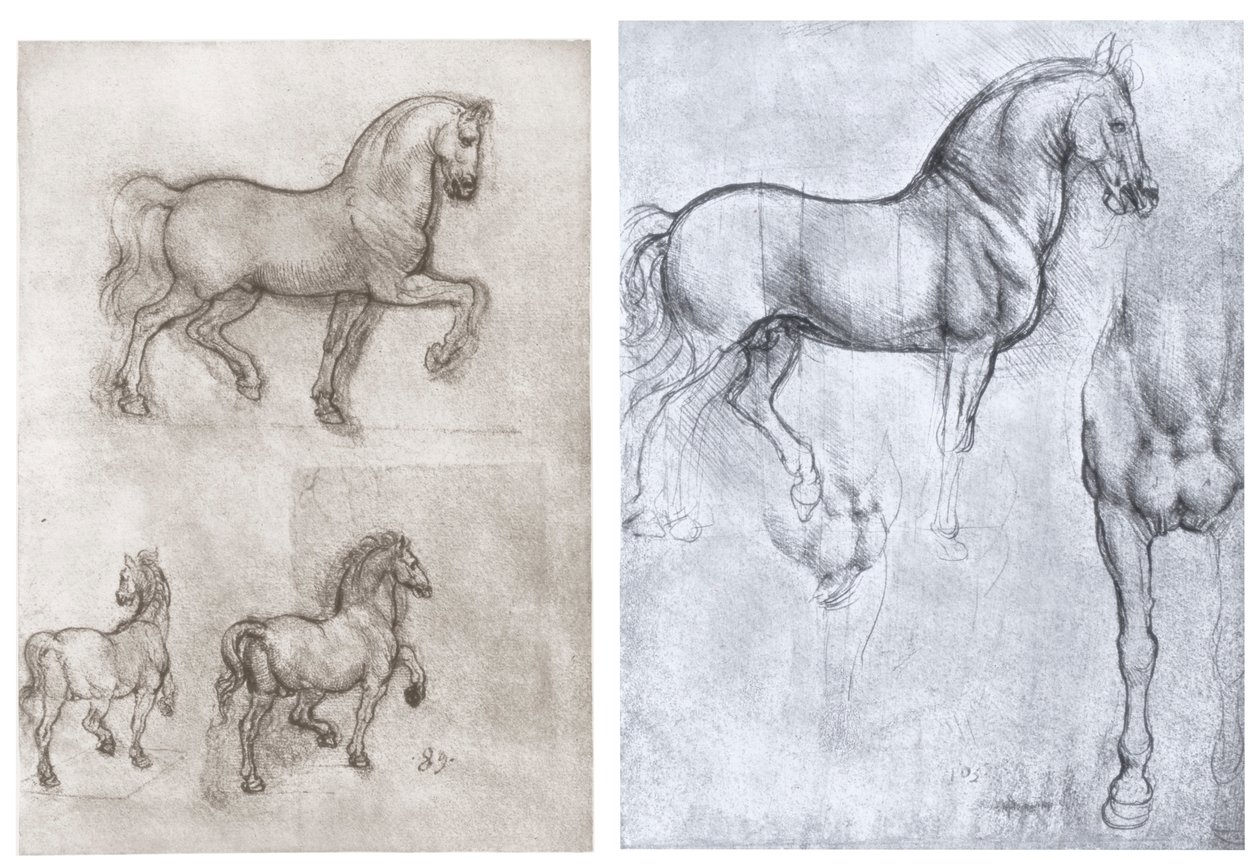Heste, c1490-1510 af Leonardo da Vinci