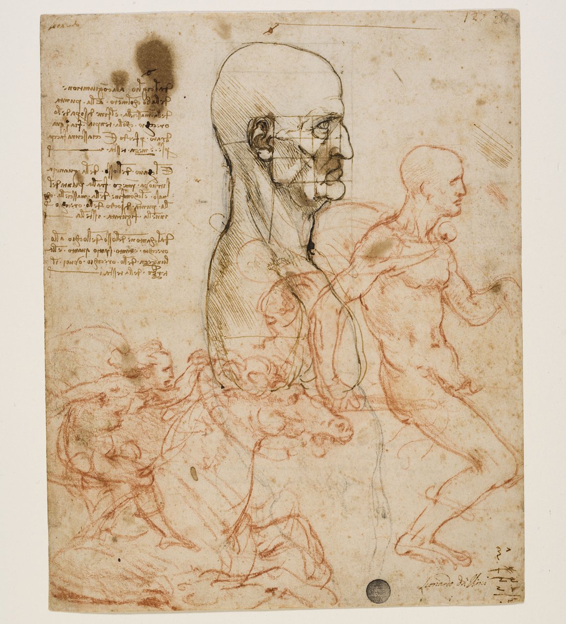 Menneskebuste i profil med undersøgelse af proportioner, ca. 1490-1499. af Leonardo da Vinci